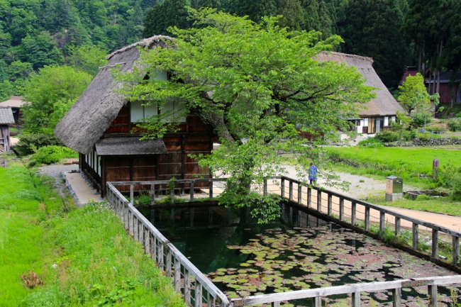 菅沼の池