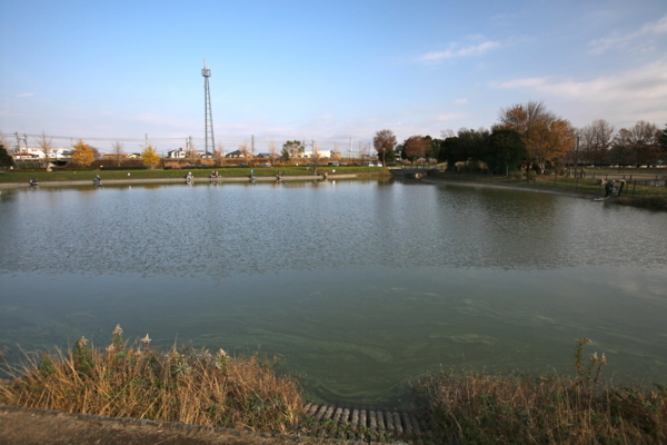 出羽公園の池
