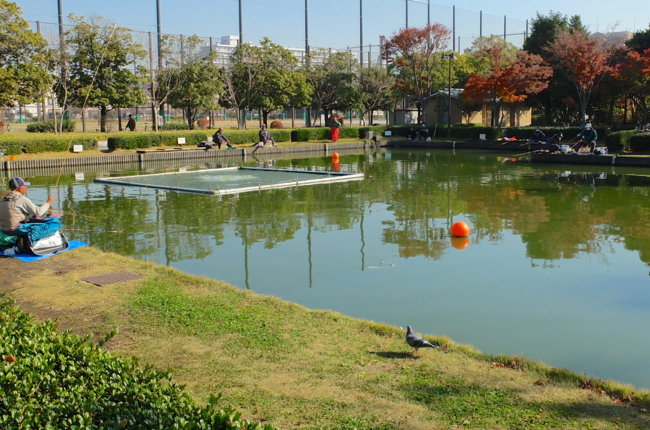 行船公園の釣り池