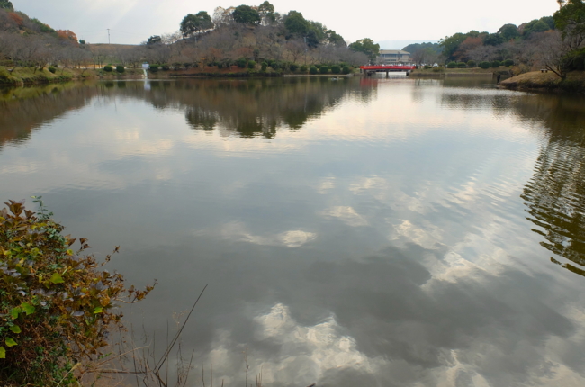 丸山池