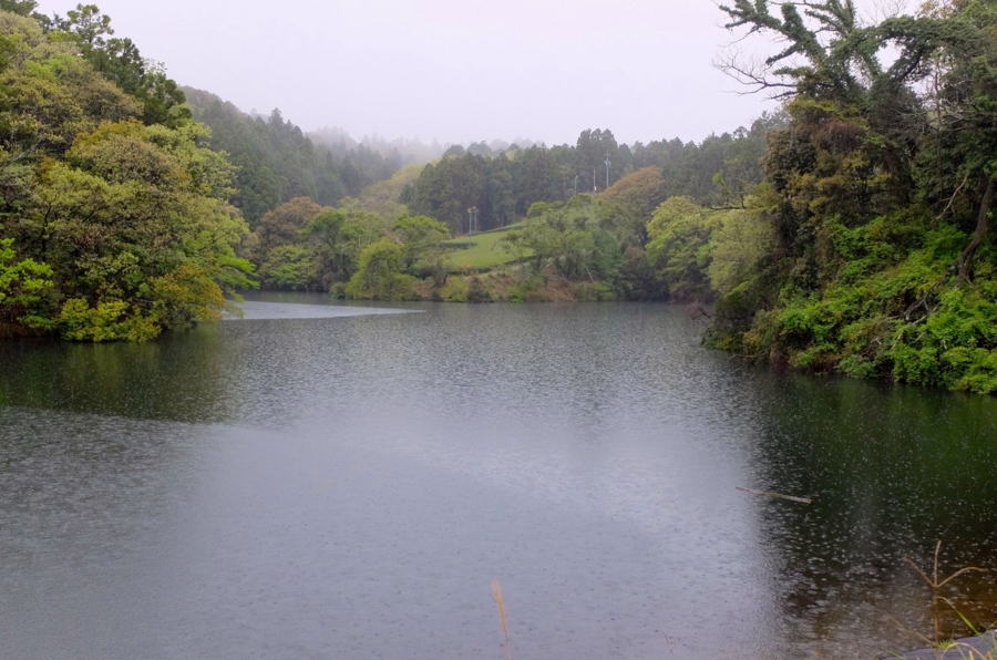 赤坂池