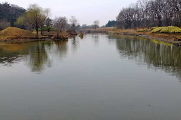 古河総合公園の池