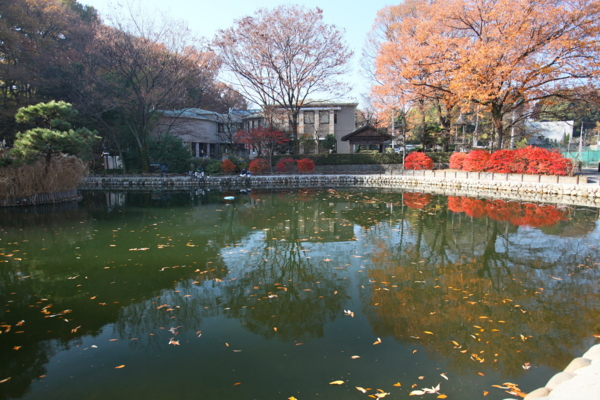 赤塚溜め池