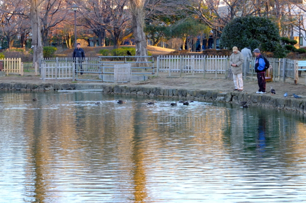 元淵江公園の池
