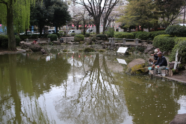 新井薬師公園の池