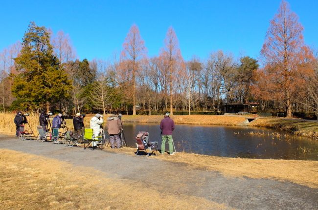 智光山公園の池